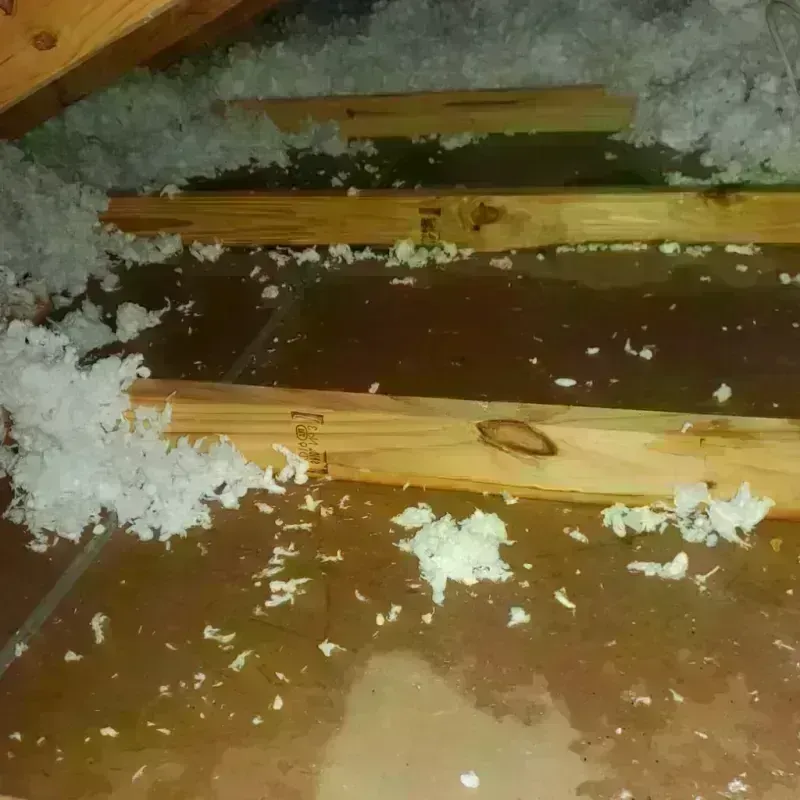 Attic Water Damage in Creek County, OK