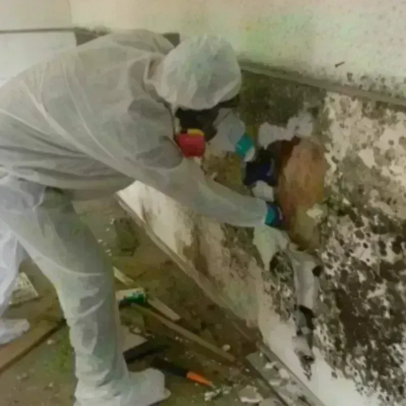 Mold Remediation and Removal in Creek County, OK