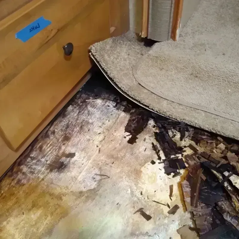 Best Wood Floor Water Damage Service in Creek County, OK